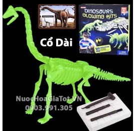 BỘ ĐỒ CHƠI KHẢO CỔ ĐÀO HÓA THẠCH 1 CON KHỦNG LONG CỔ DÀI SIZE L 25CM CÓ DẠ QUANG