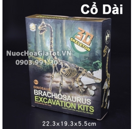 BỘ ĐỒ CHƠI KHẢO CỔ ĐÀO HÓA THẠCH 1 CON KHỦNG LONG CỔ DÀI SIZE L 25CM XƯƠNG GIẢ CỔ