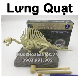 BỘ ĐỒ CHƠI KHẢO CỔ ĐÀO HÓA THẠCH 1 CON KHỦNG LONG LƯNG QUẠT SIZE M 20CM XƯƠNG TRẮNG